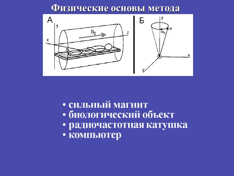 Физические основы метода  сильный магнит  биологический объект  радиочастотная катушка  компьютер